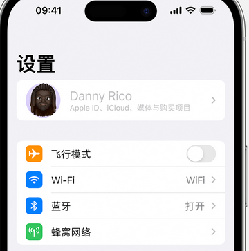 潜山appleID维修服务iPhone设置中Apple ID显示为灰色无法使用 