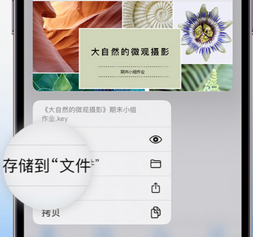 潜山apple维修中心分享iPhone文件应用中存储和找到下载文件