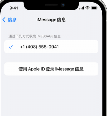 潜山apple维修iPhone上无法正常发送iMessage信息 