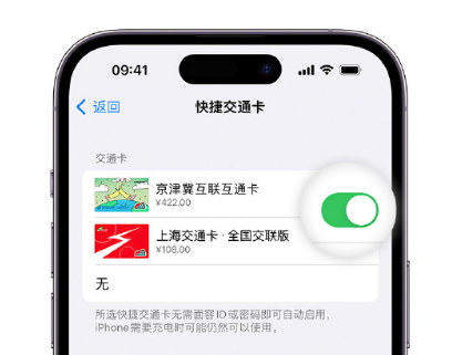 潜山apple维修点分享iPhone上更换Apple Pay快捷交通卡手绘卡面 