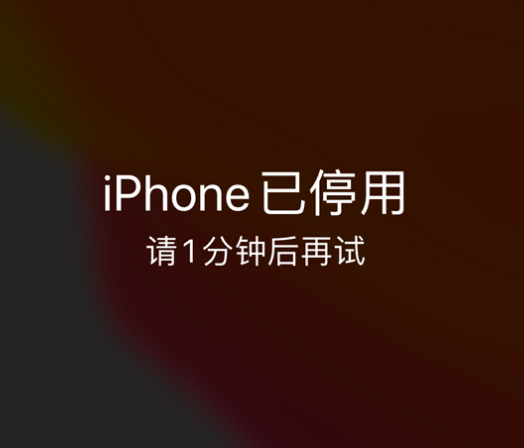 潜山苹果手机维修分享:iPhone 显示“不可用”或“已停用”怎么办？还能保留数据吗？ 