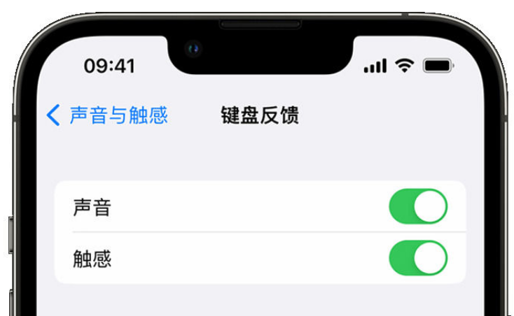 潜山苹果手机维修分享iPhone 14触感键盘使用方法 