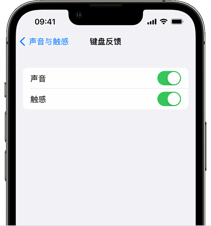 潜山苹果14维修店分享如何在 iPhone 14 机型中使用触感键盘 