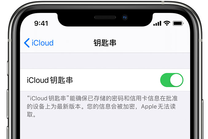 潜山苹果手机维修分享在 iPhone 上开启 iCloud 钥匙串之后会储存哪些信息 