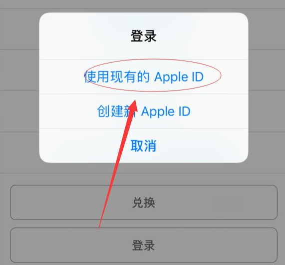潜山苹果手机维修分享两台iPhone设备可以同时登录一个Apple ID吗 