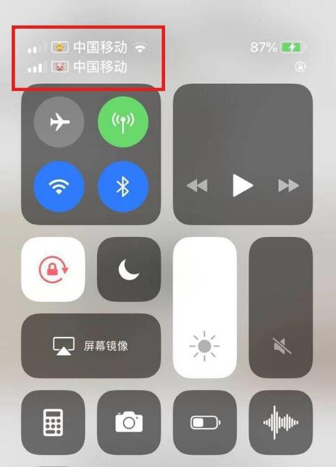 潜山苹果手机维修分享为 iPhone 12 双卡设置标签 
