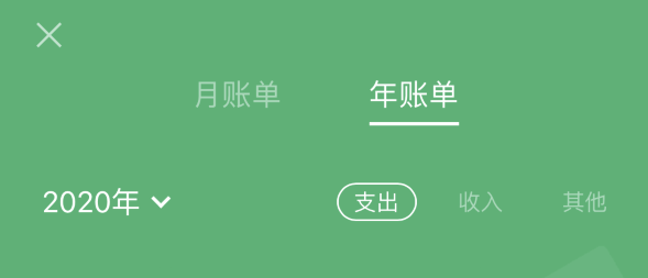 潜山苹果手机维修分享如何在 iPhone 上查看支付宝和微信年支出账单 